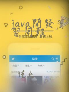 java开发实习周报