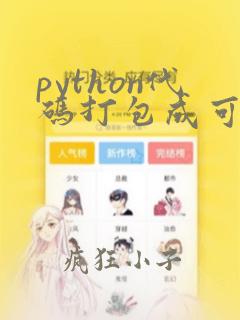 python代码打包成可执行文件