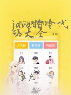 java指令代码大全