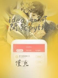 idea 如何开发python
