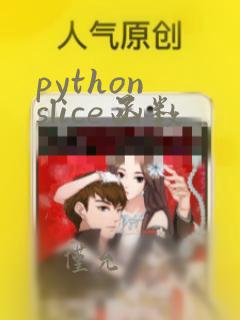 python slice函数