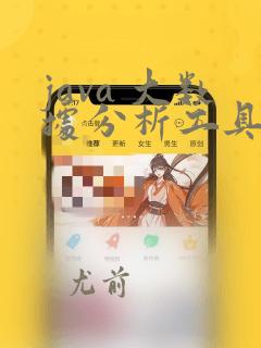 java 大数据分析工具
