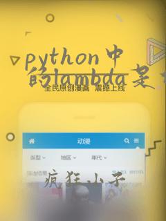 python中的lambda是什么意思
