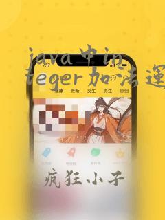 java中integer加法运算