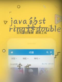 java的string转double