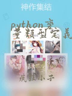 python变量类型定义