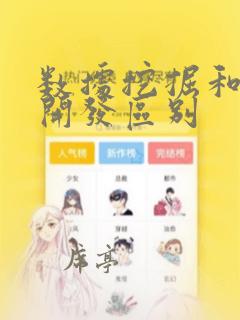 数据挖掘和数据开发区别