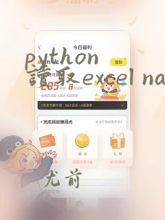 python 读取excel nan