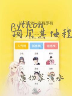 python 调用其他程序
