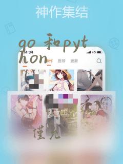 go 和python
