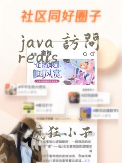 java 访问redis