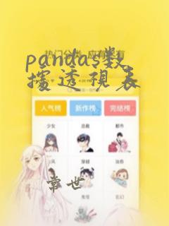 pandas数据透视表