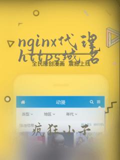 nginx代理https域名