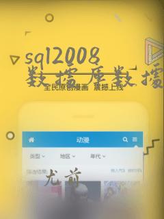 sql2008数据库数据恢复