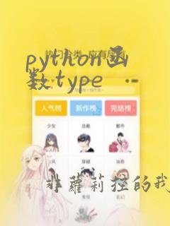 python函数type
