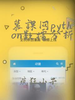 慕课网python数据分析