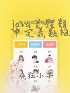 java实体类中定义数组