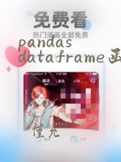 pandas dataframe函数