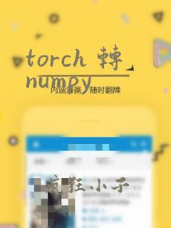 torch 转numpy