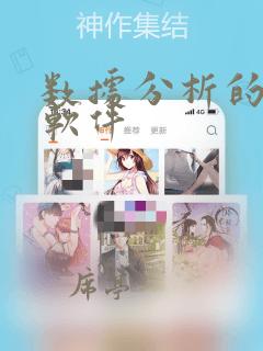 数据分析的分析软件