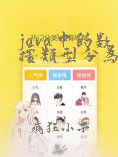 java中的数据类型分为哪两大类