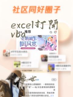 excel打开vba