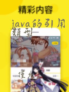java的引用类型