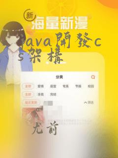 java开发cs架构
