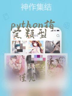 python指定类型