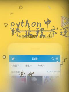 python中终止程序运行
