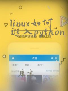 linux如何进入python