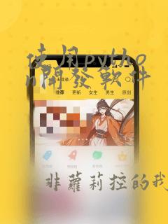 使用python开发软件