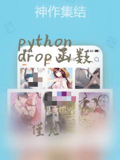 python drop函数