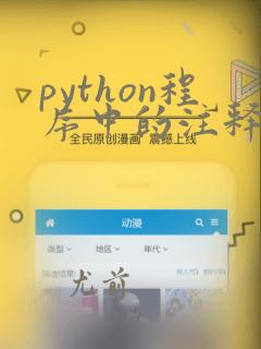 python程序中的注释