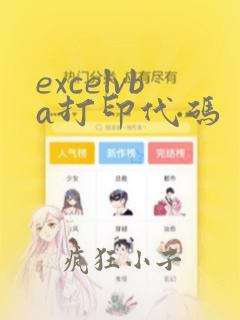 excelvba打印代码