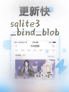 sqlite3_bind_blob