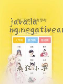 java.lang.negativearraysizeexception
