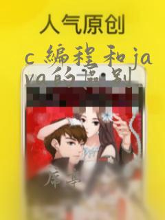 c 编程和java的区别