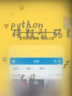 python 强类型 弱类型