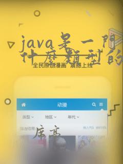 java是一门什么类型的编程语言