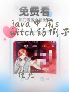 java中用switch的例子