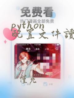 python 配置文件读写