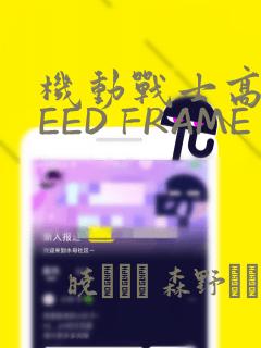 机动战士高达SEED FRAME ASTRAYS