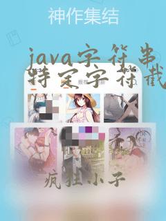 java字符串特定字符截取固定位数