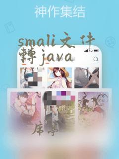 smali文件转java