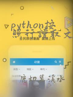 python按照行读取文件