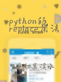 python的replace用法