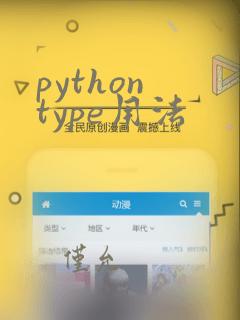 python type用法