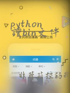 python 读bin文件