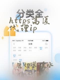 https高匿代理ip